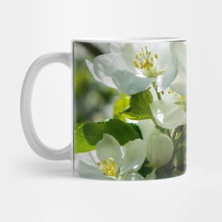 Crabapple tree in bloom Mug